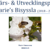 Affärsplan eller framtidsplan .. behövs det? Bisyssla.jpg